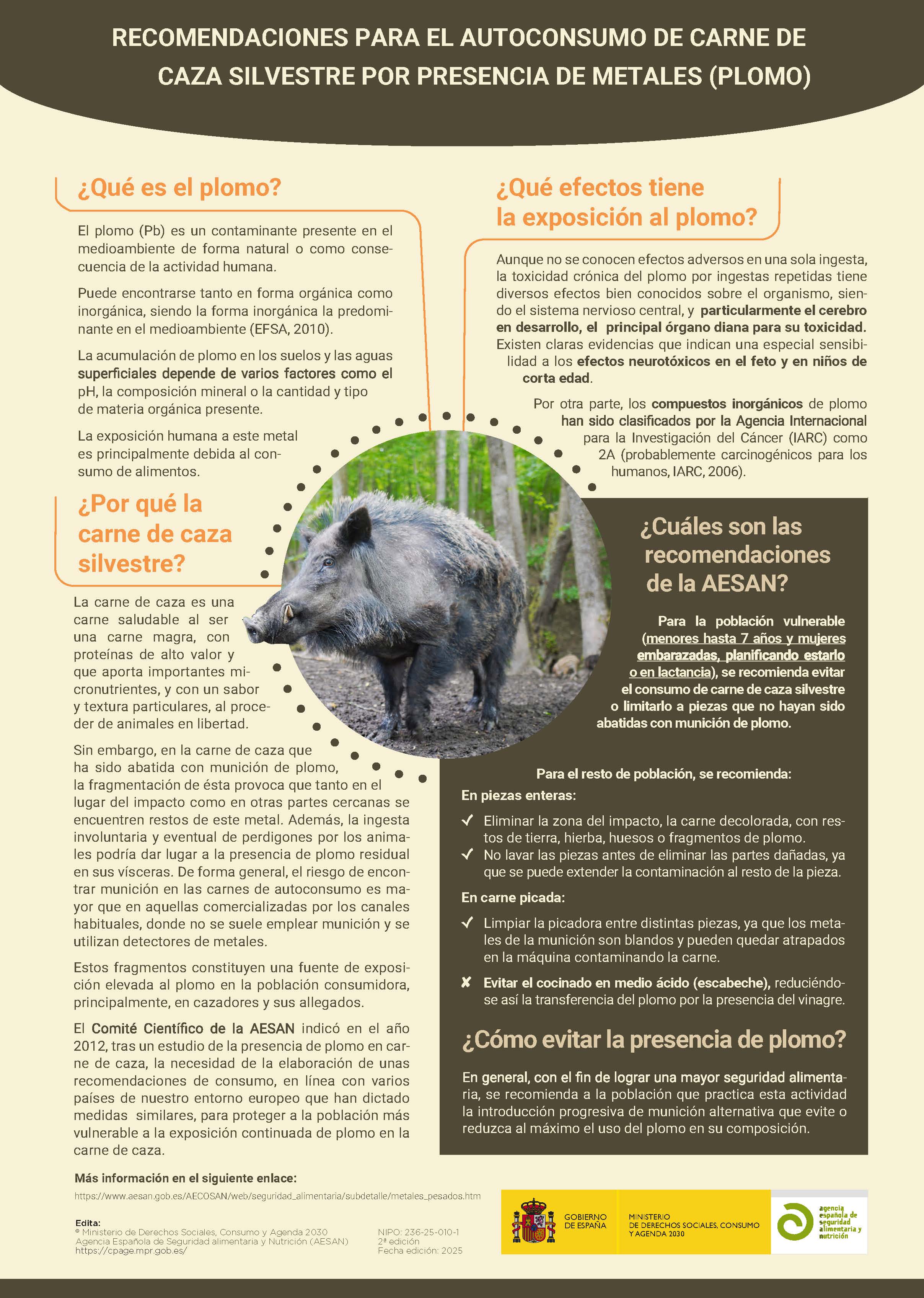 Recomendaciones autoconsumo caza