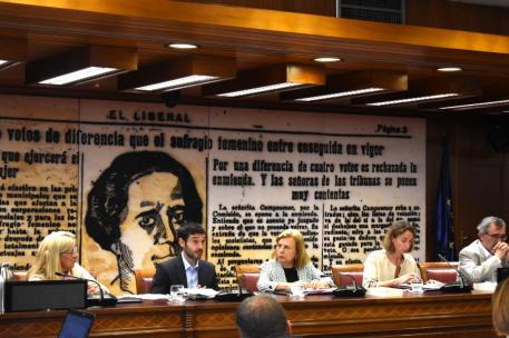 Pablo Bustinduy durante la comisión en el Senado