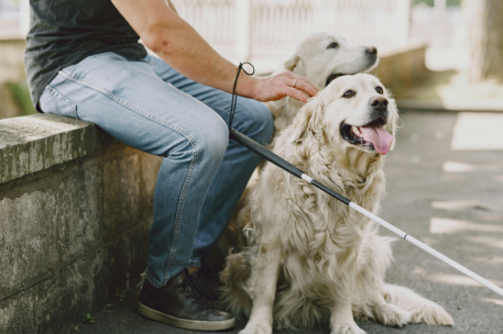 Imagen de archivo de una persona con su perro de asistencia