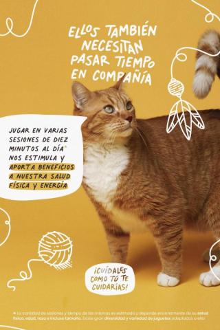Cartel publicitario de un gato con el texto: "ELLOS TAMBIÉN NECESITAN PASAR TIEMPO EN COMPAÑÍA" encima y un globo de texto con: "JUGAR EN VARIAS SESIONES DE DIEZ MINUTOS AL DÍA NOS ESTIMULA Y APORTA BENEFICIOS A NUESTRA SALUD FÍSICA Y ENERGÍA"